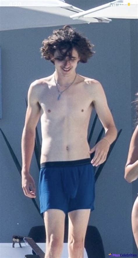 timothee chalamet naked penis